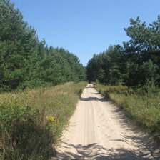 Схема вышивки «Санское. Рязань. дорога в Юшту»