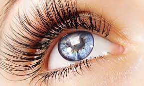 Глаз - взгяд - оригинал