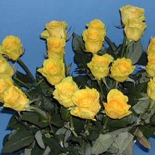 Схема вышивки «розы»