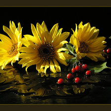 Схема вышивки «цветы»