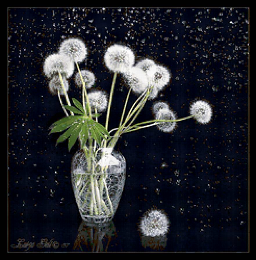 Воздушные одуванчики - картина, букет, натюрморт, цветы - предпросмотр