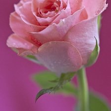 Схема вышивки «№327941»