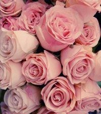 Схема вышивки «№327946»