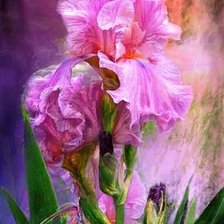 Схема вышивки «мотылёк»