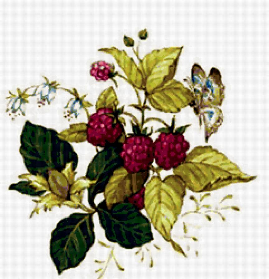 Земляника - красота, цветы - предпросмотр