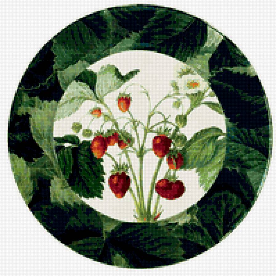 Земляника - кухня, цветы, красота - предпросмотр