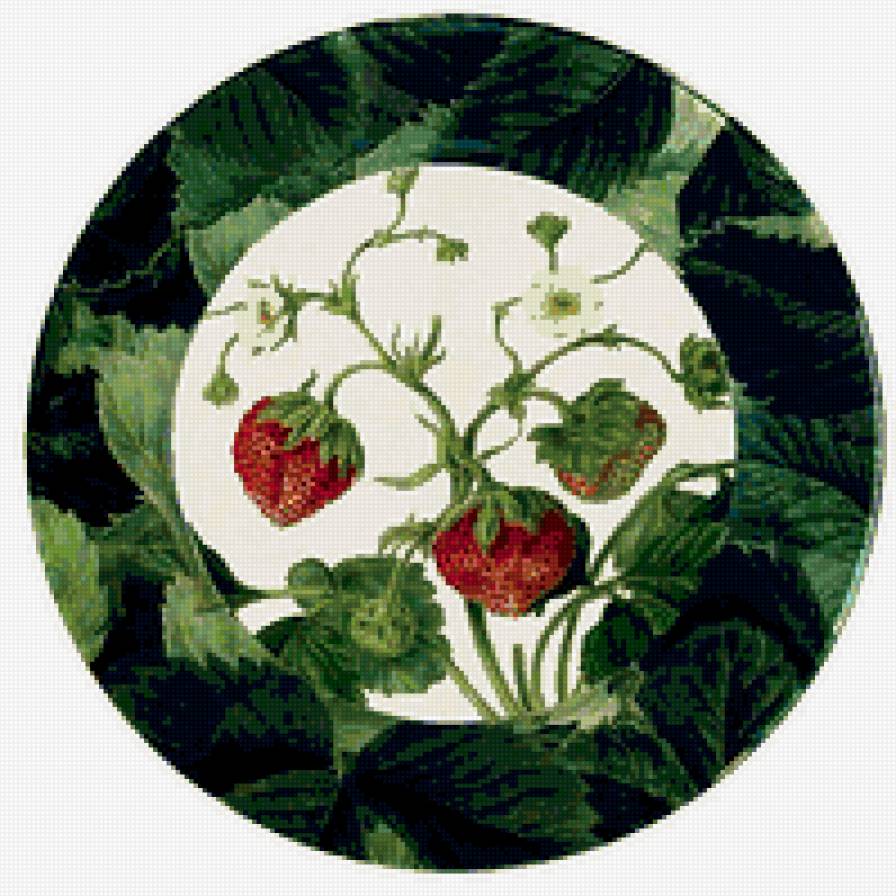 Земляника - кухня, цветы, красота - предпросмотр