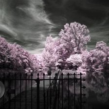 Схема вышивки «деревья у воды»