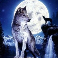 Схема вышивки «Волк»