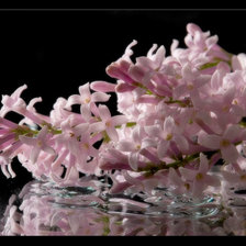 Схема вышивки «цветы»