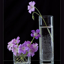 Схема вышивки «цветы»