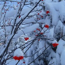 Схема вышивки «зима»