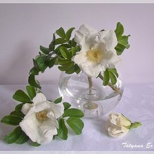 Схема вышивки «натюрморт»