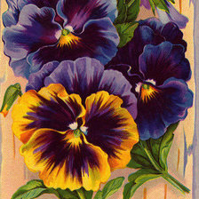 Схема вышивки «Цветы»