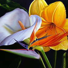 Схема вышивки «Цветы»