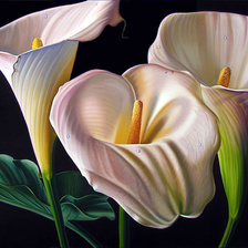 Схема вышивки «Цветы»