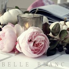 Схема вышивки «Нежность»