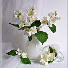 Схема вышивки «натюрморт»