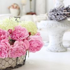 Схема вышивки «Нежность»