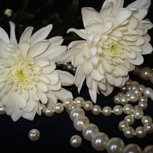 Схема вышивки «натюрморт»