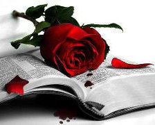 Схема вышивки «цветы»