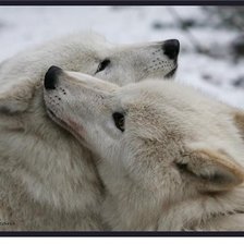 Схема вышивки «в разлке»