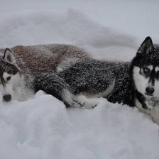 Схема вышивки «привал»