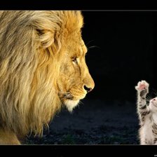 Схема вышивки «МАКС»