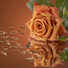 Схема вышивки «роза»