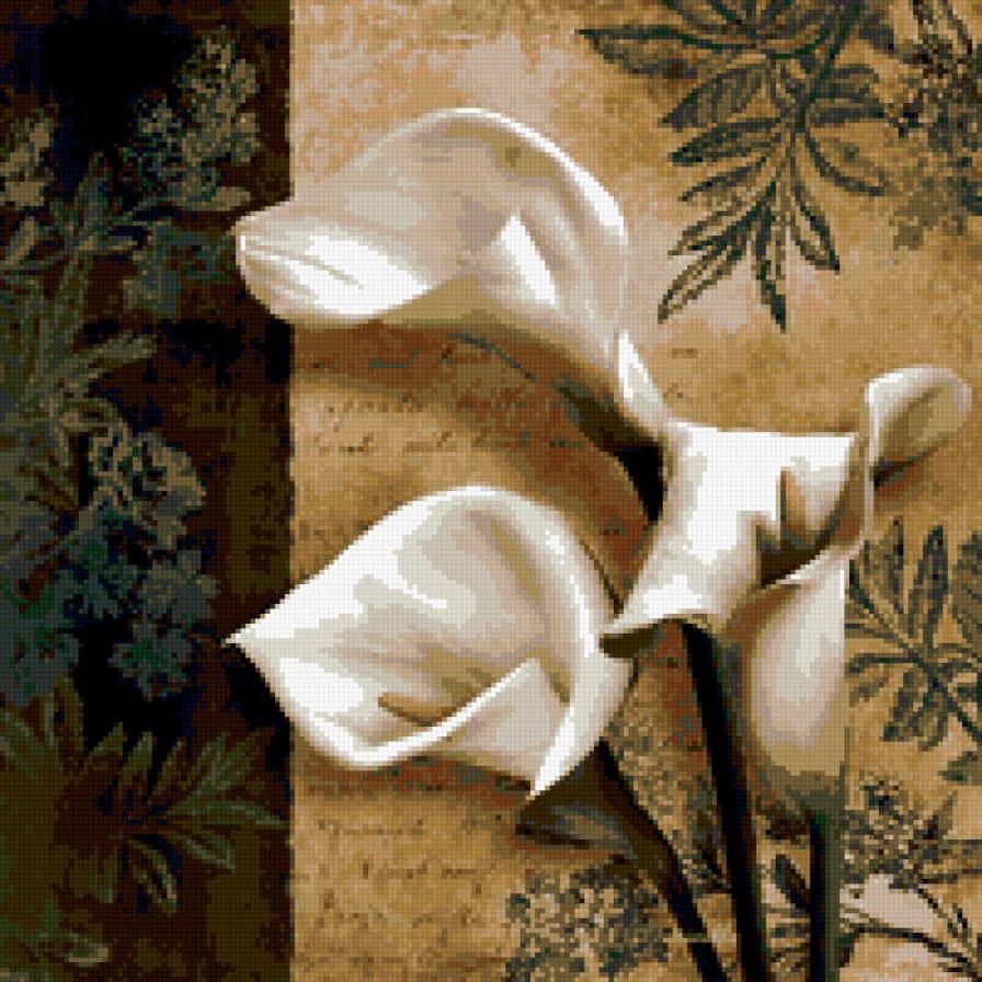 каллы - цветы - предпросмотр