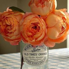 Схема вышивки «пионы»