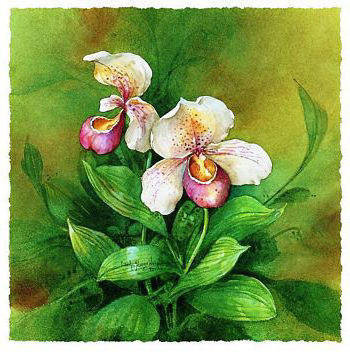 2 - оригинал