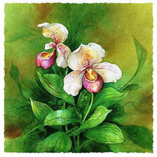 Схема вышивки «2»