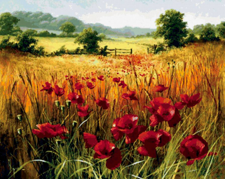 луговые цветы - лето, природа, поле - предпросмотр