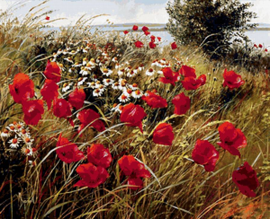 луговые цветы - природа, лето, поле - предпросмотр