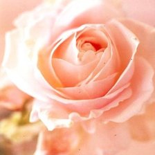 Схема вышивки «№329119»