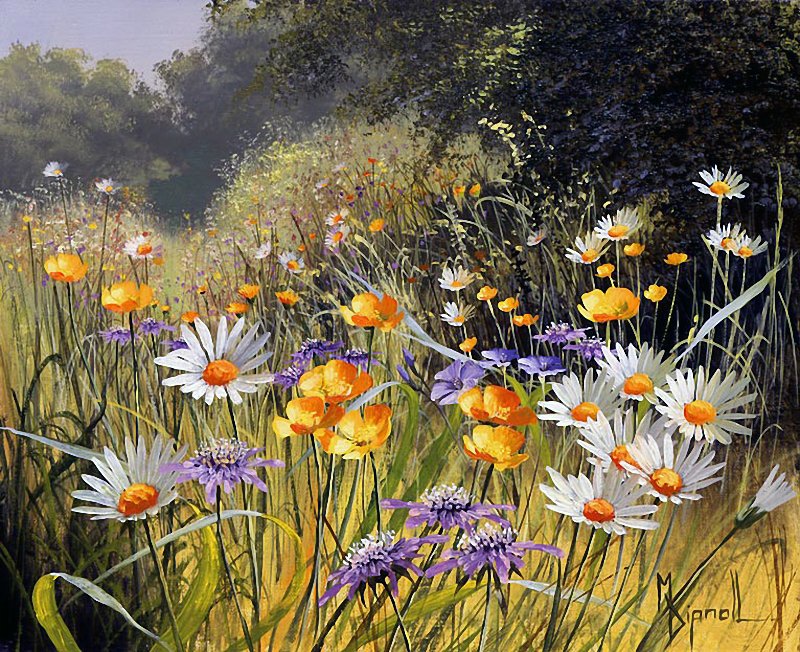 луговые цветы - поле, природа, лето - оригинал