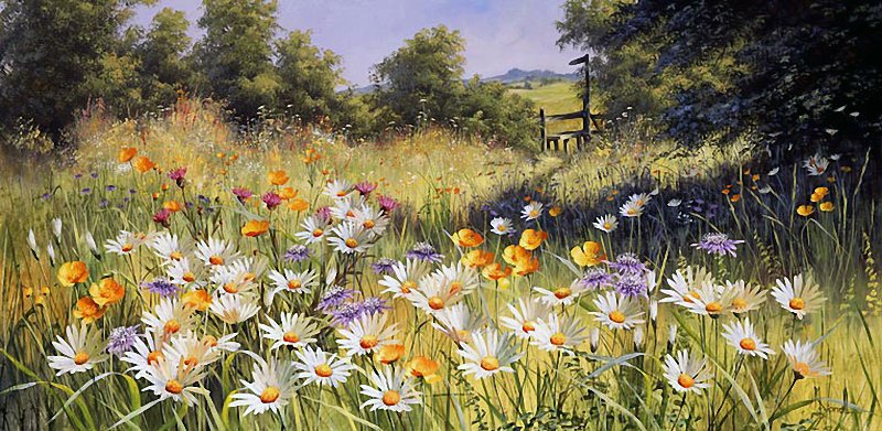 луговые цветы - поле, лето, природа - оригинал