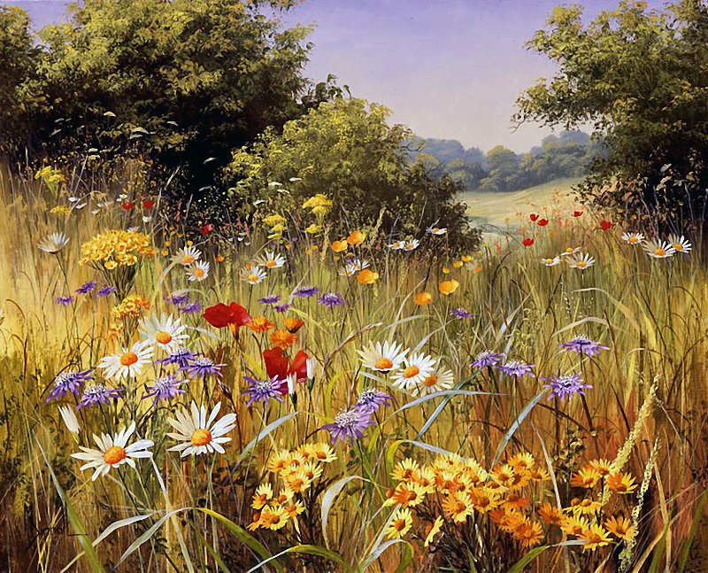 луговые цветы - лето, природа, поле - оригинал