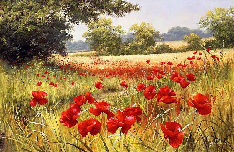 луговые цветы - поле, природа, лето - оригинал