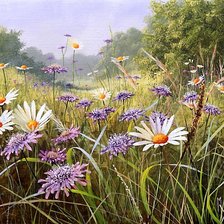 Схема вышивки «луговые цветы»