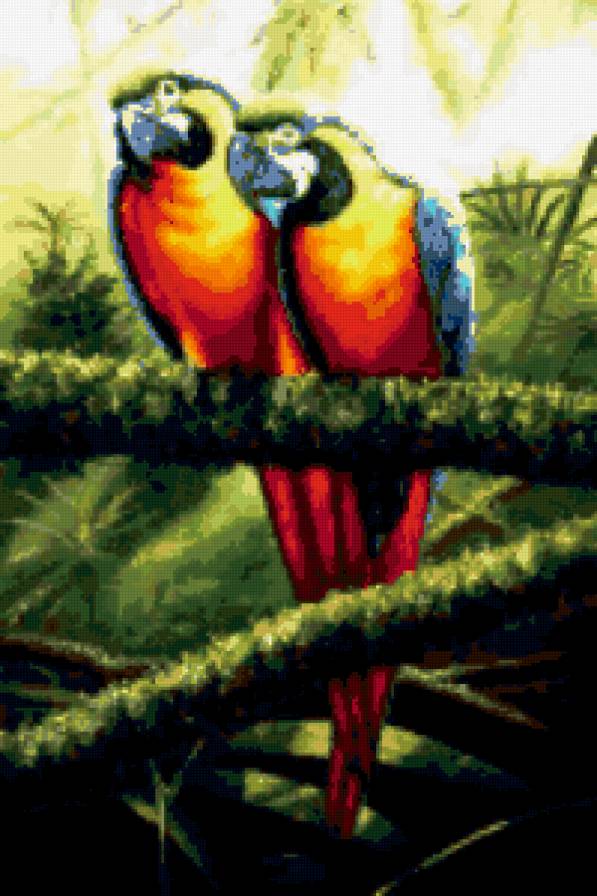№329155 - птицы, картина, попугаи - предпросмотр