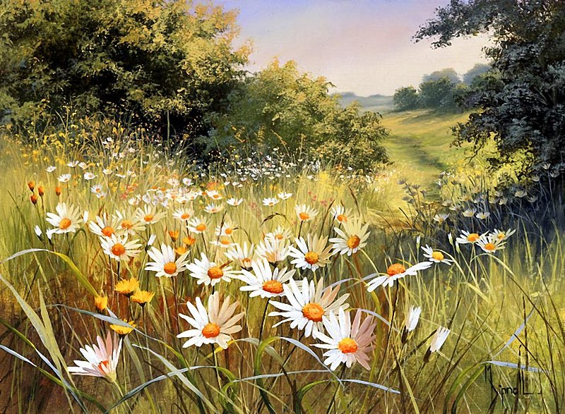 луговые цветы - ромашки, лето, поле, природа - оригинал