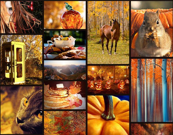 №329183 - коллаж, кошки, картина, животные, лошади, осень - оригинал
