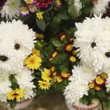 Схема вышивки «Песики из цветов»