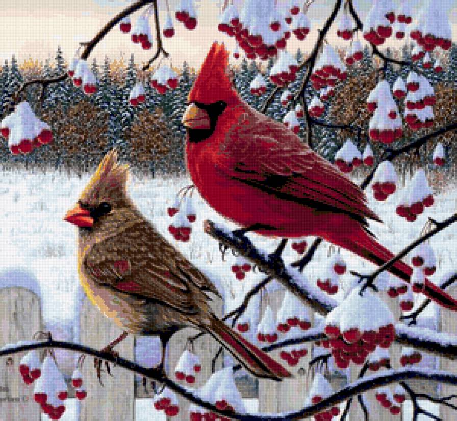 Зимние птицы - предпросмотр