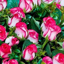 Схема вышивки «№329369»