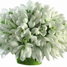 Схема вышивки «№329370»