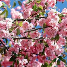 Схема вышивки «№329371»