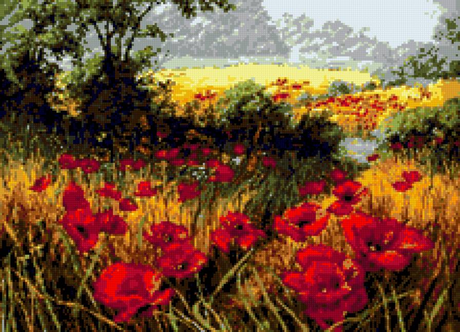 Маки в поле - пейзаж, лето, цветы - предпросмотр